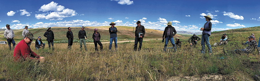 Results Oriented Grazing for Ecological Resilience - Progressive Rancher Magazine