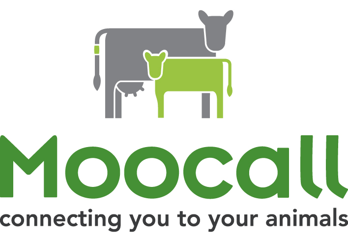 Calf Scours - Causes, Symptoms & Treatment - The Progressive Rancher